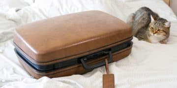Pack Like a Pro: Carry-On Only & Avoid Baggage Fees - Cover Image