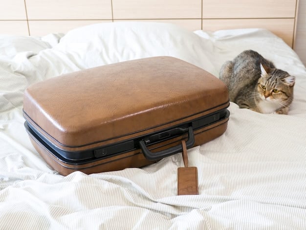 Pack Like a Pro: Carry-On Only & Avoid Baggage Fees