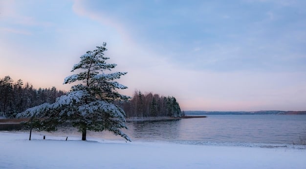 A serene winter scene in Isle Royale National Park, Michigan, showcasing a snow-covered forest with towering evergreens, a frozen lake reflecting the soft daylight, and the silhouette of a lone moose grazing in the distance, highlighting the park's remote and untouched wilderness.