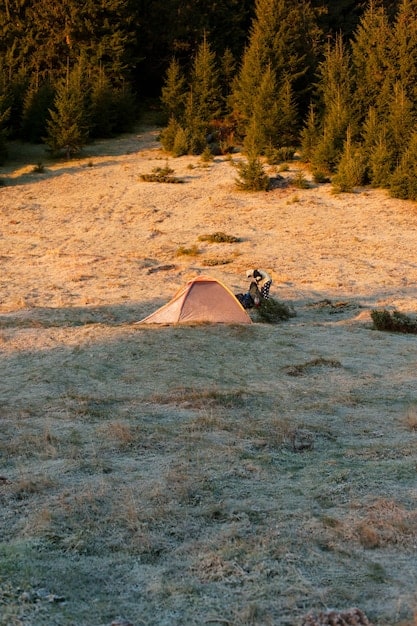 Campers setting up their tent in Yellowstone National Park, with a herd of bison grazing in the background. The image should convey the beauty and vastness of the park.