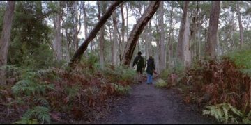 Escape the Crowds: Secret Hiking Trails in National Parks - Cover Image
