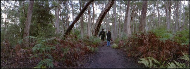 Escape the Crowds: Secret Hiking Trails in National Parks