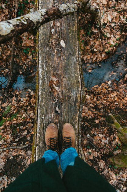 A hiker carefully stepping over a fallen log on a quiet trail in a US National Park. The focus is on the untouched natural surroundings, with sunlight filtering through the dense canopy.