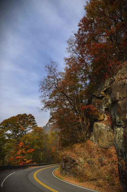 A scenic view from Skyline Drive in Shenandoah National Park, showing the road winding through a forest ablaze with fall colors. The sky is clear blue, and the sunlight is creating a dappled effect on the trees.