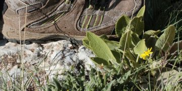 How to Choose Hiking Boots for National Parks: Terrain Guide - Cover Image
