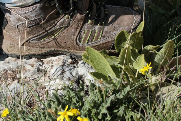 How to Choose Hiking Boots for National Parks: Terrain Guide