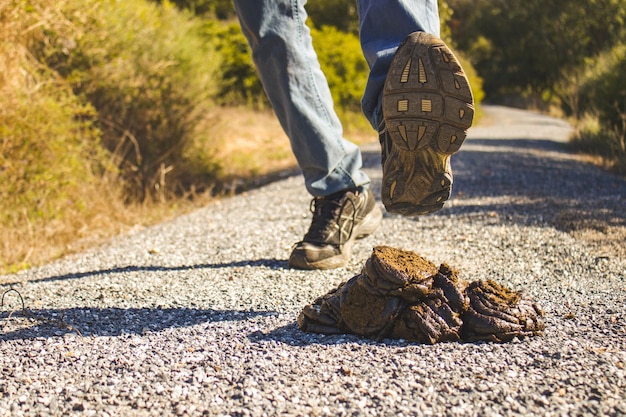 A hiker's feet wearing sturdy hiking boots stepping carefully on a rocky trail with loose stones. The focus is on the boot's sole gripping the rocks to prevent slipping. The background shows a panoramic view of mountains and trees.