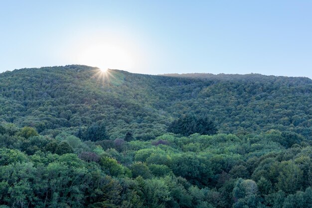National Park Safety: Essential Tips for Wildlife Encounters