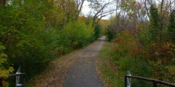 National Park Accessibility: Resources and Tips for Visitors with Disabilities - Cover Image
