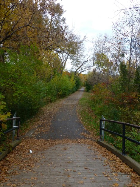 National Park Accessibility: Resources and Tips for Visitors with Disabilities