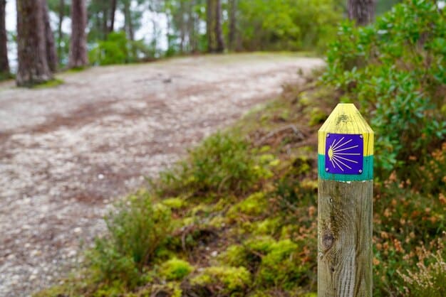 A close-up of a well-maintained trail in a national park, with visible signage indicating the designated path. Lush greenery and undisturbed soil are visible on either side of the trail.