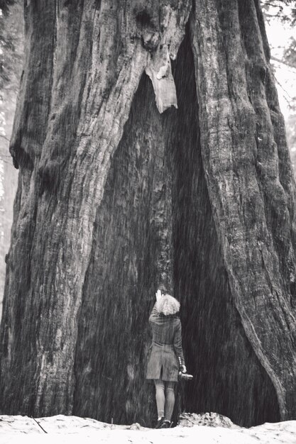 A vintage photograph of John Muir standing in Yosemite Valley, looking up at the towering granite cliffs. The image captures his sense of awe and reverence for nature.