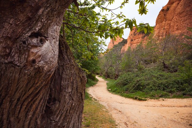 A winding trail in Zion National Park, showcasing the vibrant red rock formations and lush greenery. Hikers are seen navigating the path, illustrating the accessible beauty of the park.