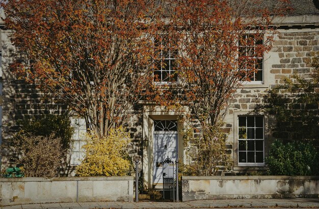 A cobblestone street in a historic New England town during autumn, with colorful foliage and quaint storefronts, emphasizing the off-season charm.