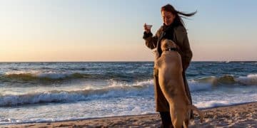 Pet-Friendly Paradise: 4 US Weekend Escapes for You & Your Furry Friend - Cover Image