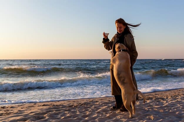 Pet-Friendly Paradise: 4 US Weekend Escapes for You & Your Furry Friend