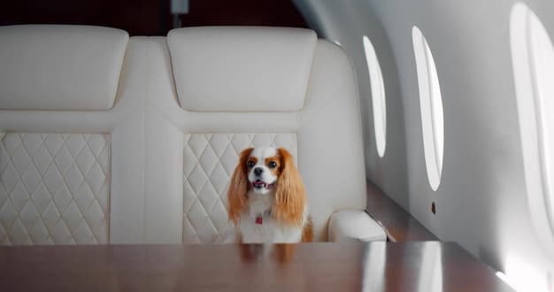 A small white dog peeks out from a stylish pet carrier in the overhead compartment of an airplane, conveying the concept of pet-friendly travel.