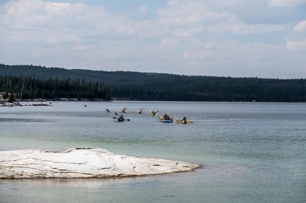 A group of kayakers paddling through the crystal-clear waters of Lake Tahoe, surrounded by towering pine trees and snow-capped mountains in the background, illustrating an adventurous and scenic kayaking experience.