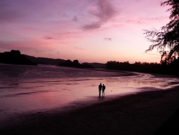 A couple holding hands walking on a secluded beach at sunset. Capture the serene and intimate moment, highlighting the natural beauty around them.