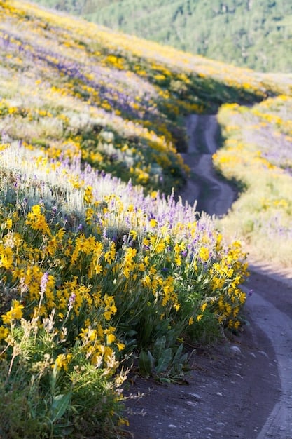 Spring Awakening: Your Guide to Vibrant Weekend Getaways