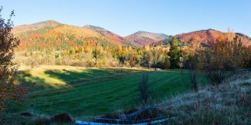 Fall Foliage: Best Weekend Getaways to See Autumn Colors - Cover Image