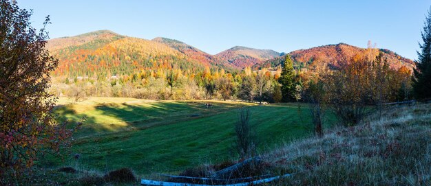 Fall Foliage: Best Weekend Getaways to See Autumn Colors