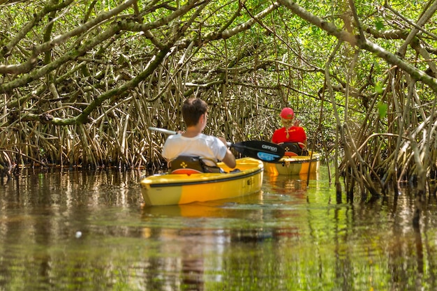 A family enjoys kayaking through a mangrove tunnel in the Florida Everglades. The parents are paddling kayaks while their two children sit in the front, gazing in awe at the surrounding natural beauty. Sunlight filters through the dense mangrove canopy, creating dappled patterns on the water.