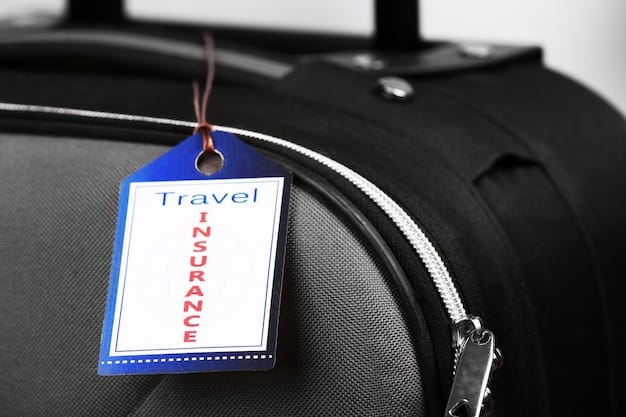 A close-up shot of a baggage tag on a suitcase, with the airline logo visible. The luggage tag is clearly marked with the traveler's information.