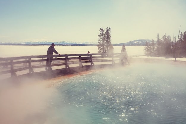 A family uses binoculars to spot wildlife in Yellowstone National Park, with geysers erupting in the background.